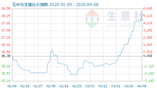 4月8日玉米與生豬比價指數圖