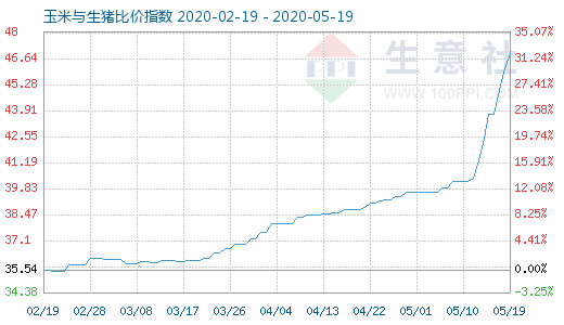 5月19日玉米與生豬比價指數圖
