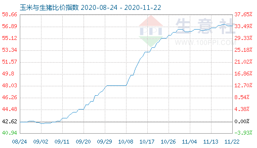 11月22日玉米與生豬比價指數圖