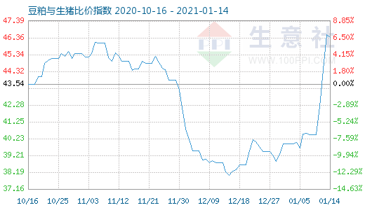 1月14日豆粕與生豬比價指數圖