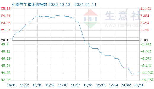 1月11日小麥與生豬比價指數圖