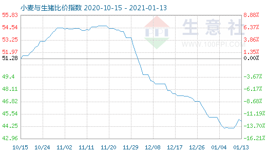 1月13日小麥與生豬比價指數(shù)圖